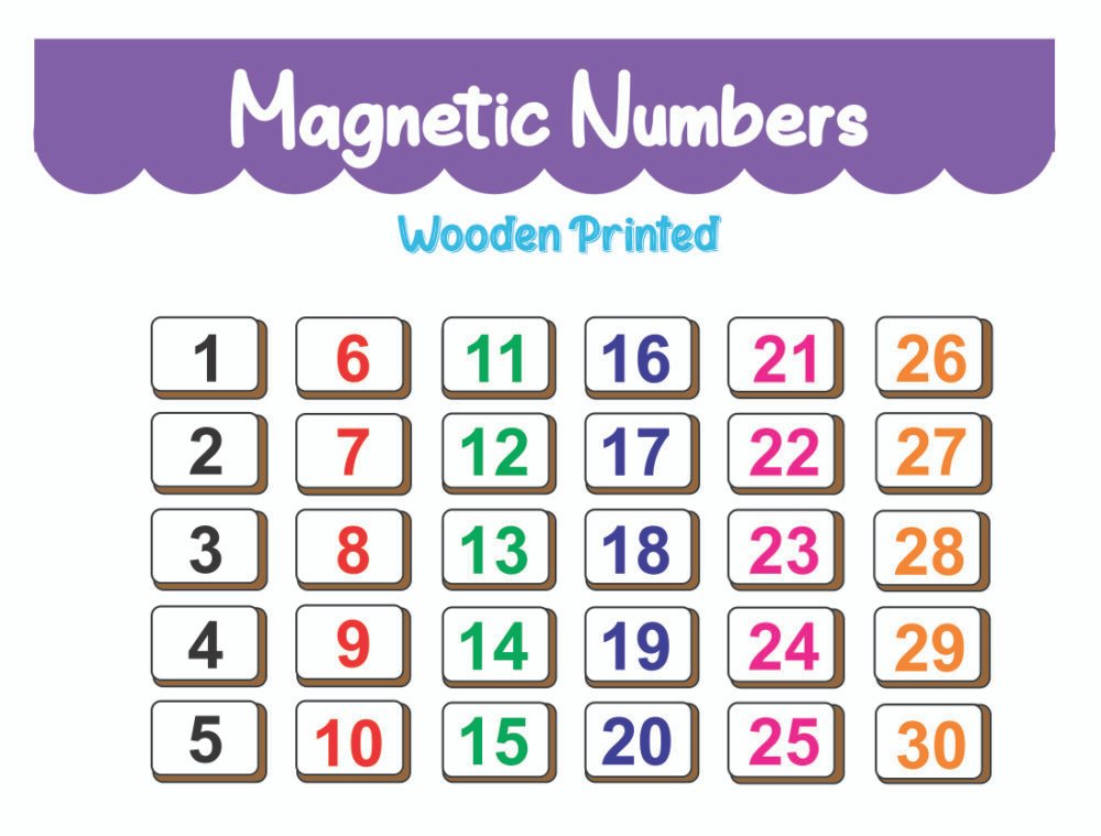 Shiksha Magnetti  Count and match Numbers - Image 2